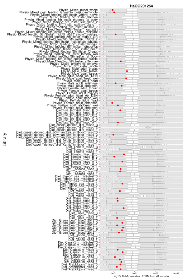 Across library expression for an olfactory receptor